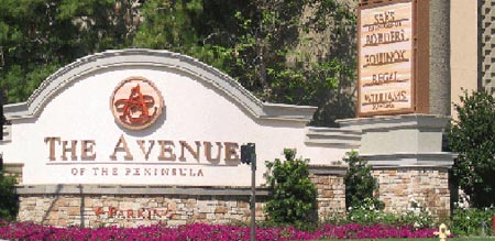 The Avenue Mall